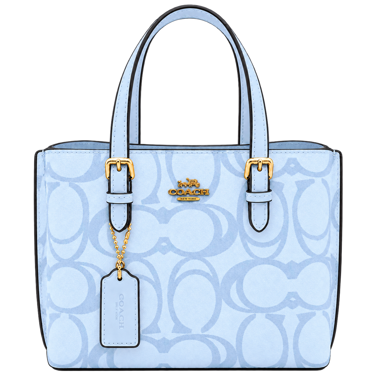 COACH Mollie Tote 25 - Light Blue