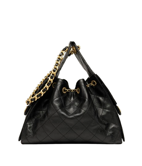 Chanel 25 Hadbag