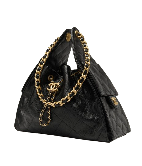 Chanel 25 Hadbag