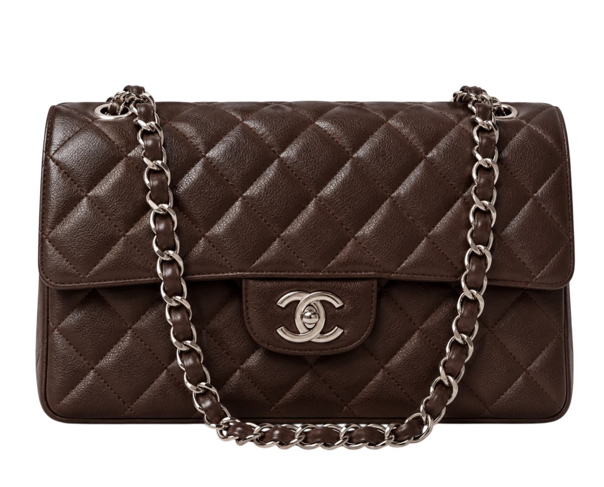 Chanel Classic Double Flap Bag – Silver Hardware