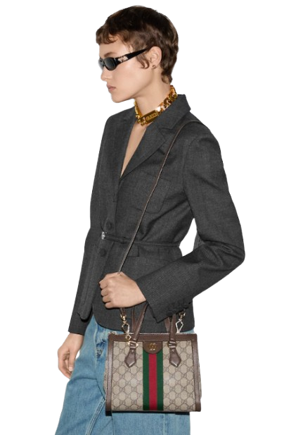 Gucci Ophidia tote bag