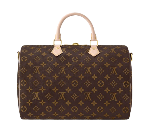 Louis Vuitton Speedy Bandoulière