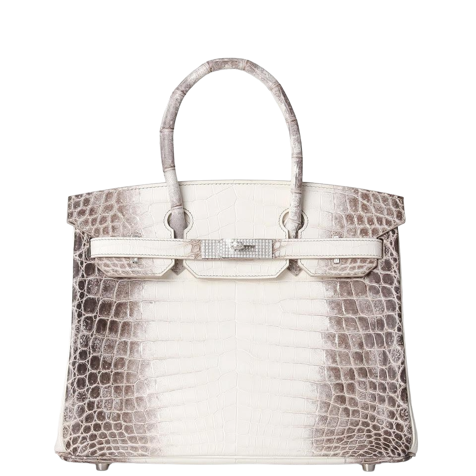 Hermès Birkin 30 - Himalayan