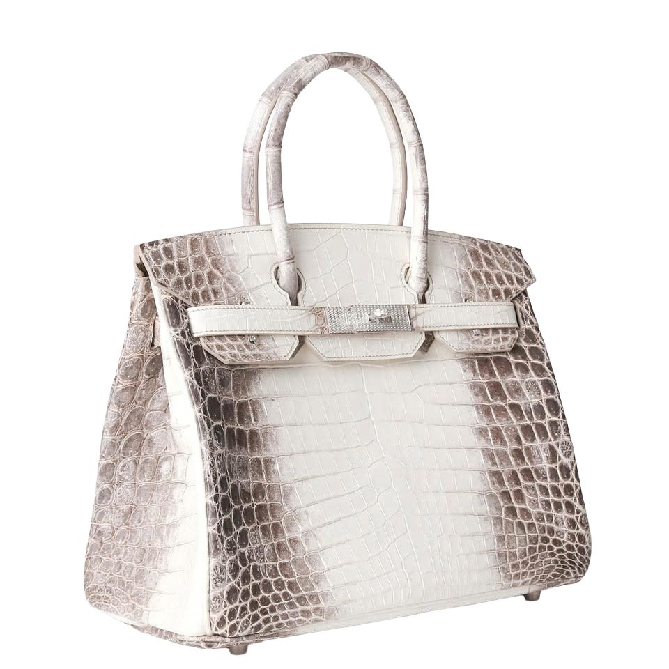 Hermès Birkin 30 - Himalayan