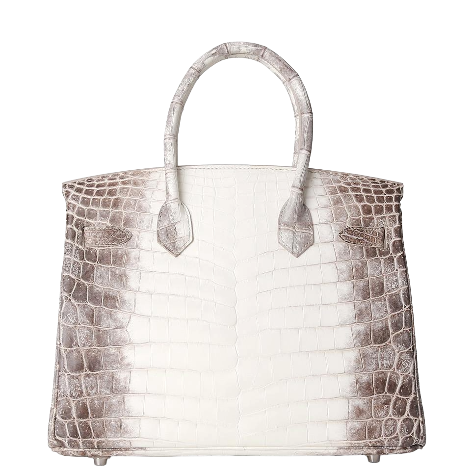 Hermès Birkin 30 - Himalayan